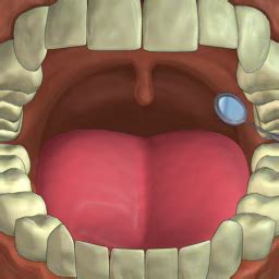 Dental Adventure | No Ads | Play It At Friv® 🕹️