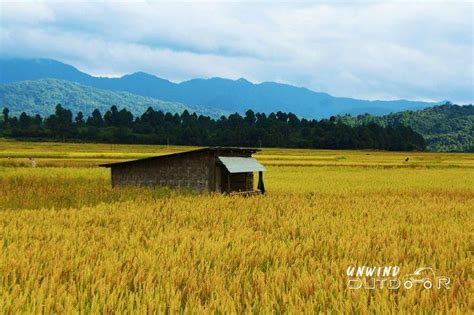 Ziro Valley - A walk back into time - Unwind Outdoor