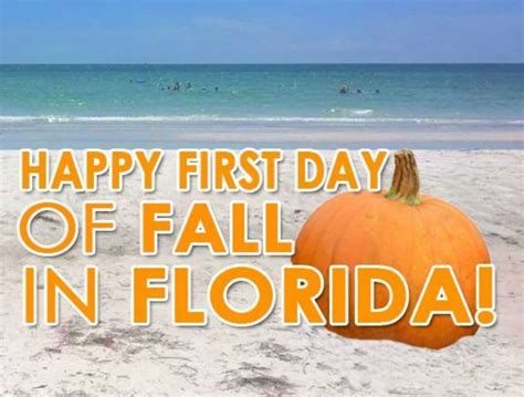 Happy first day of #fall in #florida #beach #pumpkin #humor #funnymemes ...