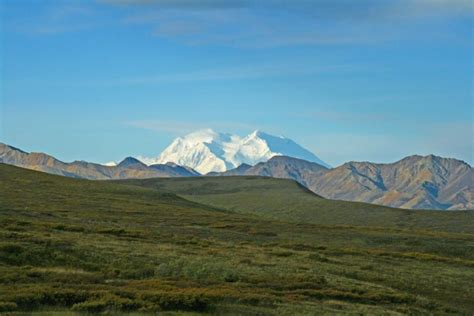 Denali National Park Camping: The Definitive Guide To Camping In Denali ...