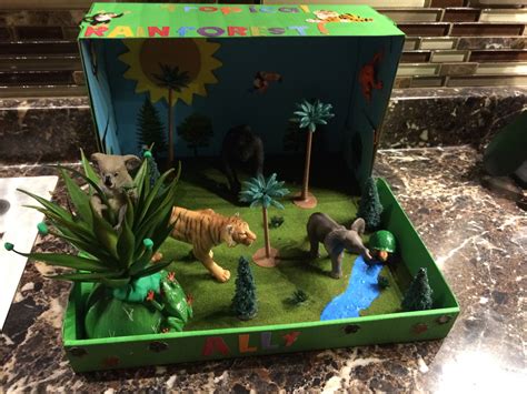 Ally's Tropical rainforest biome project for school | Habitats projects ...