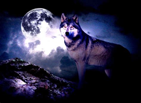 Wolf Moon Wallpapers - Top Free Wolf Moon Backgrounds - WallpaperAccess