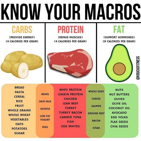 how to count macros for beginners Protein carbs macros calorie ...