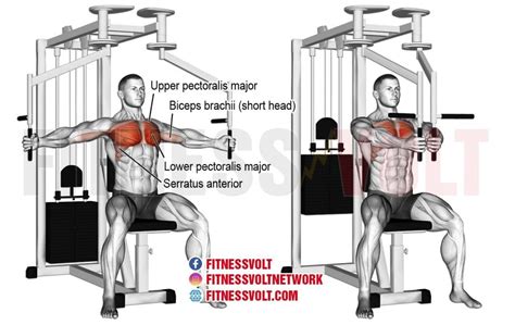 Machine Fly (Chest) – Fitness Volt