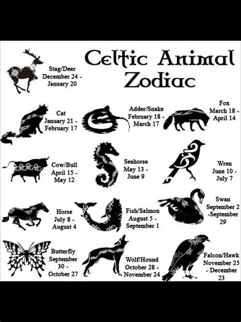 Spiritual Meaning Of Zodiac Signs - Cool Product Critiques, Discounts, and purchasing Assistance