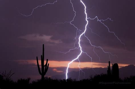 Tucson: The Best Place to Photograph Lightning | Lightning, The good place, Places to see