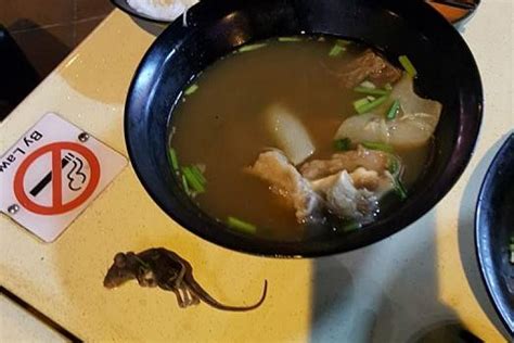 Customers rat-tled by extra ingredient in mutton soup | The Straits Times