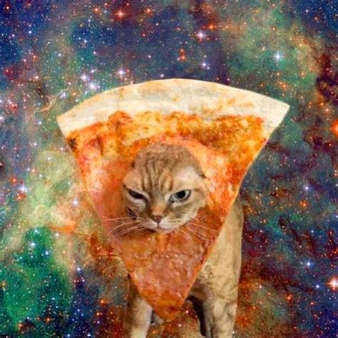 Caterville: Pizza Cats