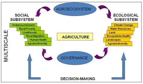 Agricultural Systems