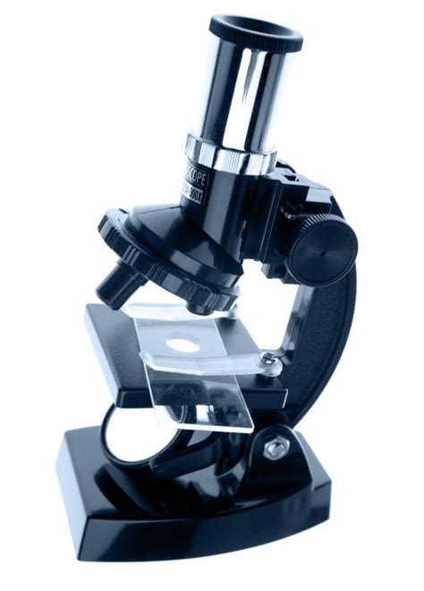 What are the Different Types of Microscope Slides?