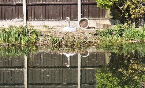 Wolverhampton Walks: The Wyrley and Essington Canal - An Ordinary Family of 5