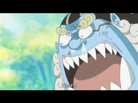 One Piece Funny Faces (Album 1) | Wiki | Anime Amino