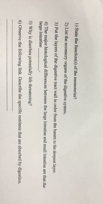 Solved State the function(s) of the mesenteries? 2) List | Chegg.com