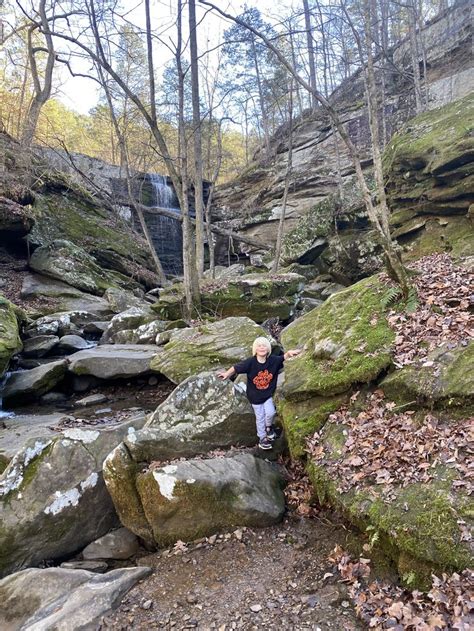 Burden Falls Shawnee National Forest | Shawnee national forest, Scenic ...