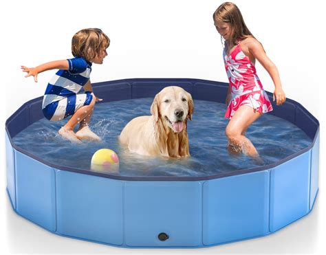 Do Dogs Pee In Swimming Pools