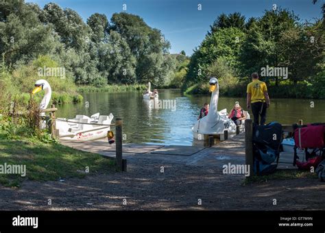 Swan pedalo on a lake in a UK country park Stock Photo - Alamy