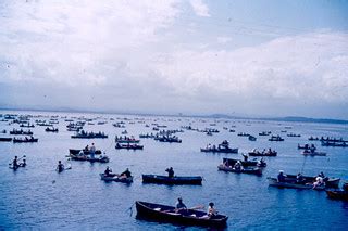 Ampol Fishing Competition at The Entrance | Photograph by Mi… | Flickr