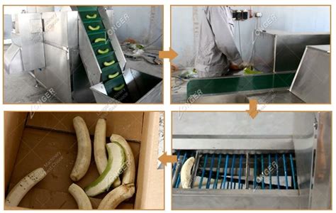 Green Banana Peeling Machine|Plantain Peeler Machine