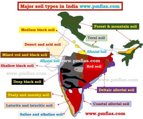 Major Soil Types of India: Alluvial Soils & Black Soils | PMF IAS