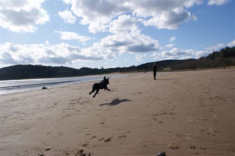 Dog Friendly Scotland: Dog Friendly Scottish Beaches - Argyll & Bute