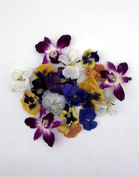 Freeze-Dried Edible Flowers (Pansies & Orchids) | Edible flowers, Freeze dried flowers, Dried ...