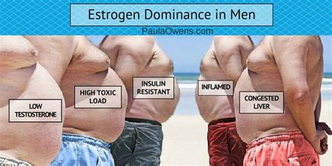 Estrogen Dominance in Men - Paula Owens