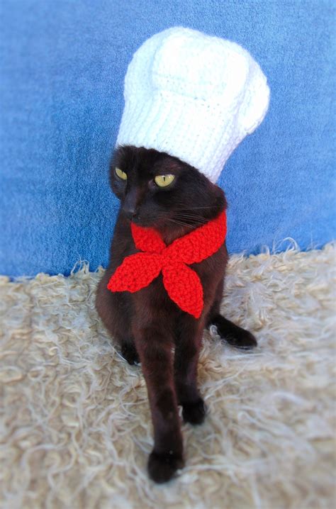 Chef Hat for Cat Chef Pet Costume Halloween Kitten Outfit - Etsy