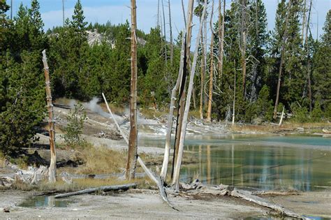 Yellowstonepark Free Photo Download | FreeImages