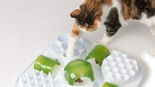 Nine reasons to use a cat puzzle feeder toy | PetsRadar
