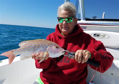 Florida Fishing Charters | Gulf Coast Excursions | Florida Fishing 4 Reel