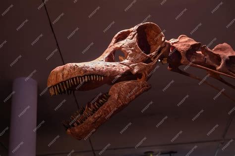 Premium Photo | Patagotitan skeleton in close view selective focus