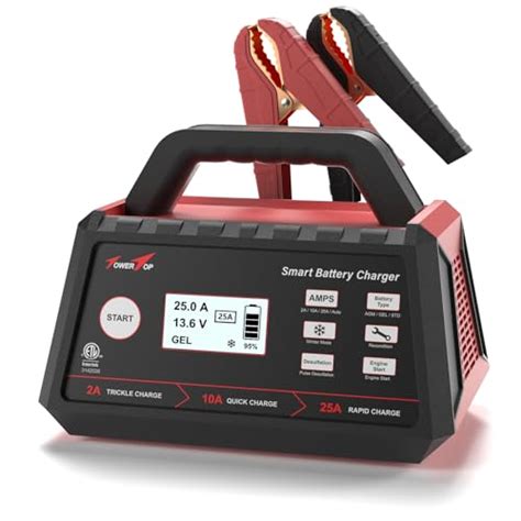 Top 10 Best Deep Cell Battery Charger : Reviews & Buying Guide - Katynel