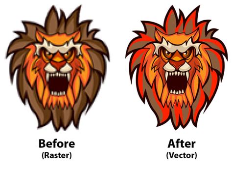 What Is Vector Tracing at Vectorified.com | Collection of What Is ...