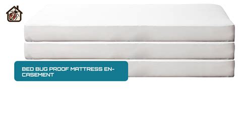 The Ultimate Guide to Bed Bug Proof Mattress Encasements - Bugs in the bed