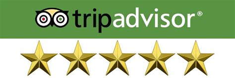 5-star rating for Your London Tours on TripAdvisor