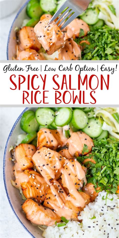 salmon rice bowl near me - Elden Steel