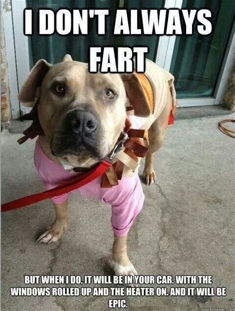 Dog fart meme : DogfartWoof