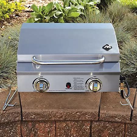 Member's Mark Portable Stainless Steel 2-Burner Gas Grill - Sam's Club