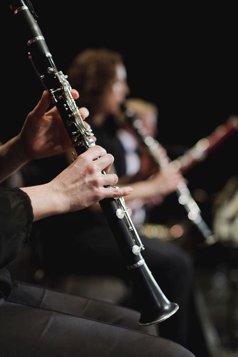 Clarinet sound effects download | DeadSounds