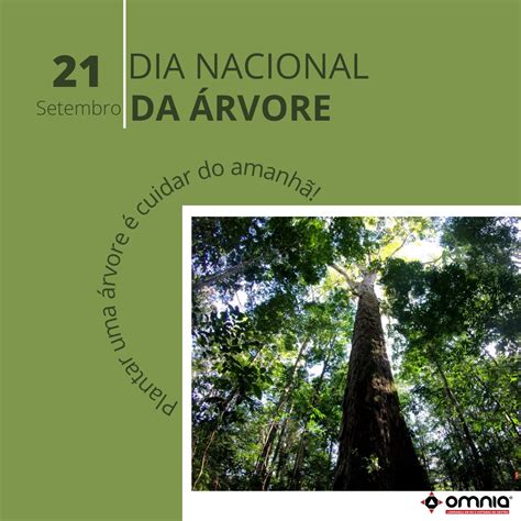 Dia Nacional da Arvore – Omnia