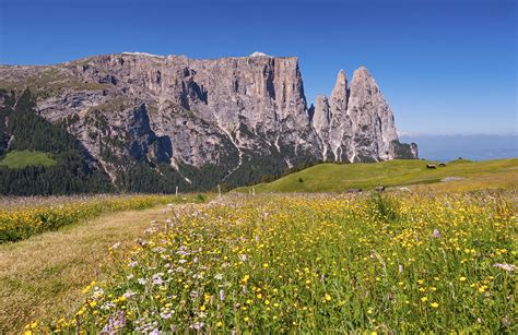 Sciliar / Schlern and Alpe di Siusi • Wander Your Way