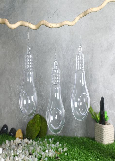 Get Hanging Bulb Terrarium (Pack of 3) at ₹ 702 | LBB Shop