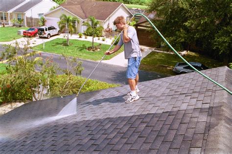 Softwash, Softwashing Soft Washing Revive-All Clean-all shingle roof and roof cleaner. By Dan ...