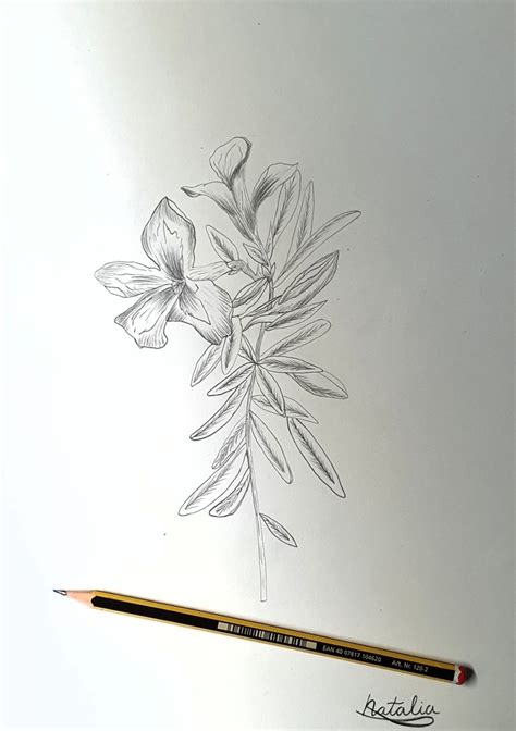 Dibujo Realista Elementos de la Naturaleza | Domestika