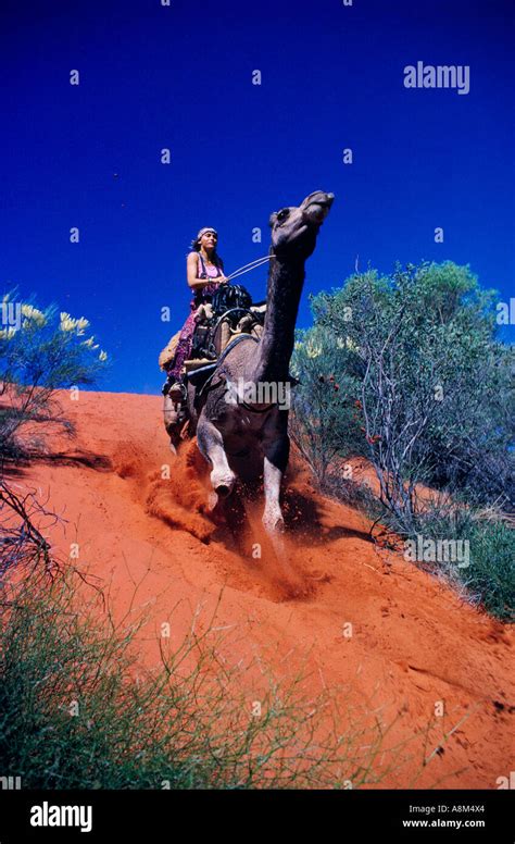 Sanddunesdunes hi-res stock photography and images - Alamy