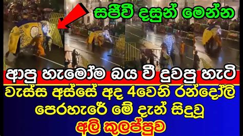 වැස්ස අස්සේ 4වෙනි රන්දෝලි පෙරහැරේ මේ දැන් සිදුවූ අලි කුලප්පුව | Nuwara Perahera 2023 | Kandy ...