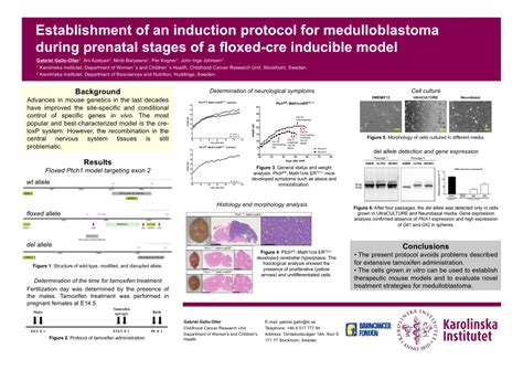 (PDF) Establishment of an induction protocol for medulloblastoma during prenatal stages of a ...