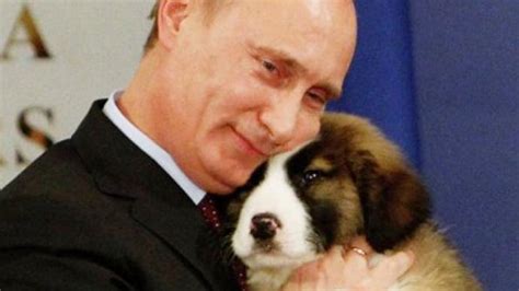 Putin seeks citizens’ help in choosing puppy’s name — RT News