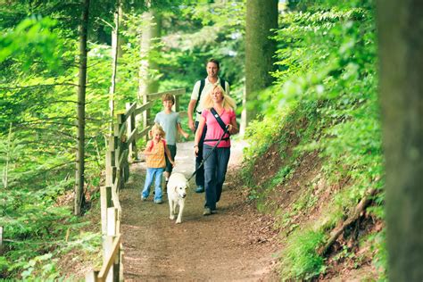 Hiking Trails for Families with Kids - Visit Novato