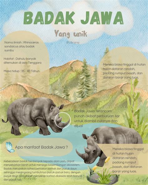 Infografis Badak Jawa | Badak jawa, Habitat, Hutan hujan